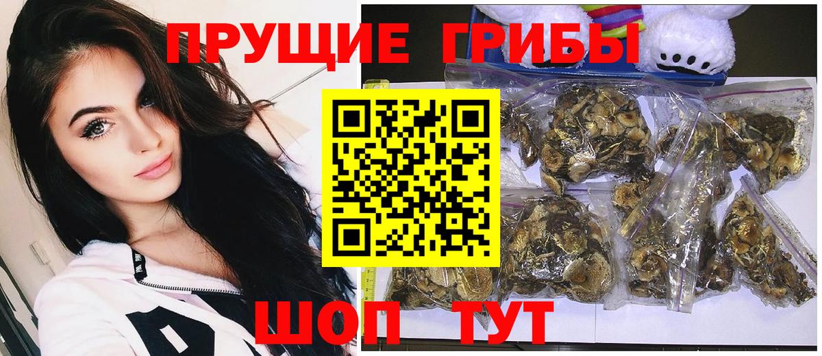 Мичуринск  Псилоцибиновые грибы мицелий  Вход с VPN  Галлюциногенные грибы Magic Shrooms 
