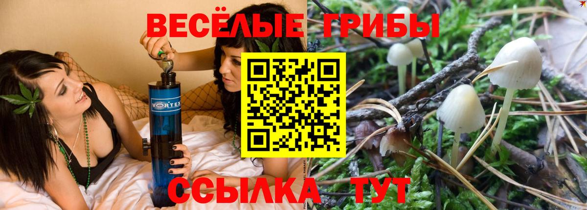 Галлюциногенные грибы мицелий Мичуринск